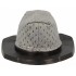 Filtre pour aspirateurs balai Dual Force 2 en 1 Rowenta ZR005203