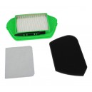 Kit de Filtration Hépa (Filtre hépa+Mousse+Filtre+Brosse) pour Aspirateur sans Sac Rowenta