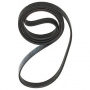 hoover courroie de remplacement pour hoover candy machines ? laver???41039460