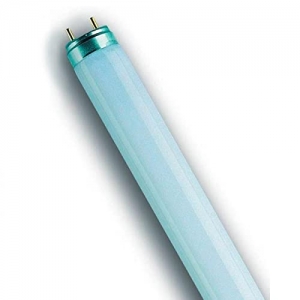 OSRAM lampe fluorescente LUMILUX T8, 58 Watt (840) x10