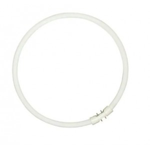 Sylvania Circline Plus - Ampoule fluorescente - forme : T5 - givré finition - 2GX13 - 40 W - classe A - lumière blanche claire