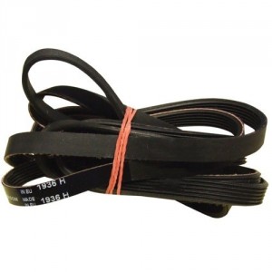 Courroie pour Sèche-Linge WHIRLPOOL 481235818164