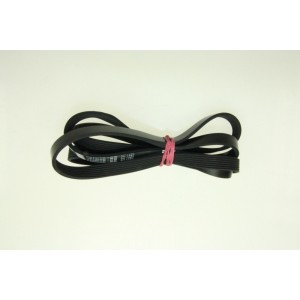 Courroie pour Lave-Linge ELECTROLUX 481281728277