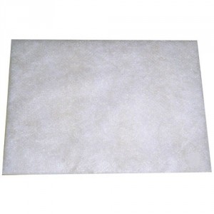 Filtre pour Aspirateur BOSCH 00095772