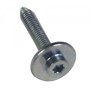 Vis pour Réfrigérateur, Congélateur BOSCH 00170215