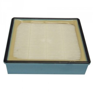 Filtre hepa pour Aspirateur PHILIPS 422245946221