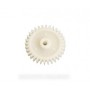 roue dentee