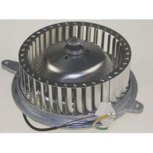 Charbon Moteur pour Lave-Linge SIEMENS 00144951