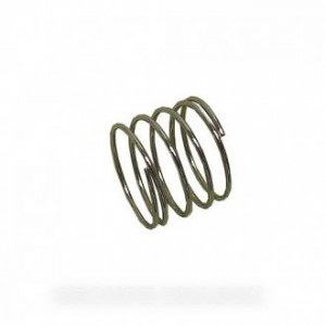 Ressort de bouton pour Cuisinière BEKO 242100050