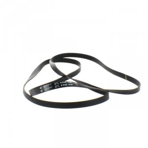 Courroie pour Lave-Linge INDESIT 481281718177