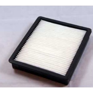 Filtre hepa pour Aspirateur SAMSUNG DJ63-00672B