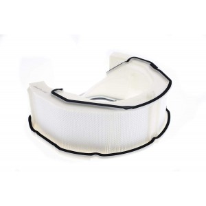 Filtre hepa après moteur pour Aspirateur DYSON 967374-04