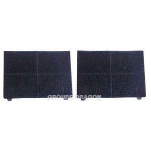 Filtres à charbon x2 pour Hotte HOTPOINT ARISTON C00058794